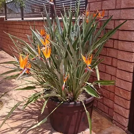 Сasa de vacaciones Casa Piti *